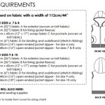Big Hero Vest requirements